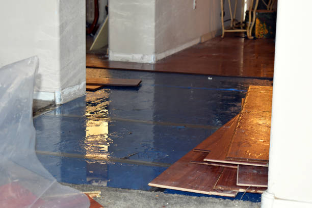 Professional Flood Damage Repair technician working in Victor, ID